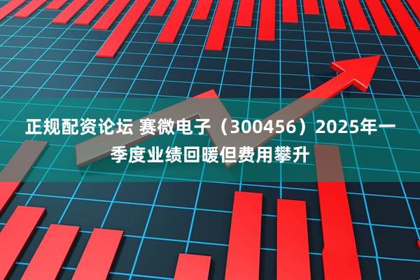 正规配资论坛 赛微电子（300456）2025年一季度业绩回暖但费用攀升
